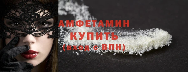 сатива Каменногорск