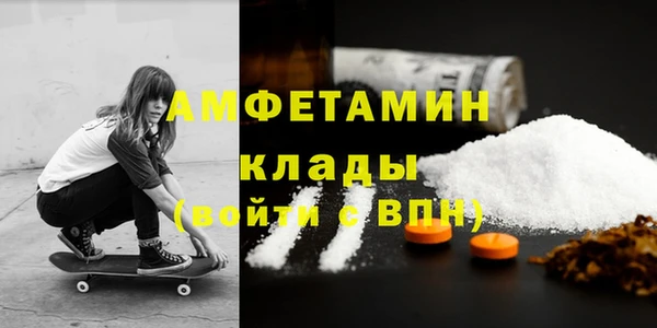 сатива Каменногорск