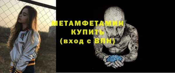 сатива Каменногорск