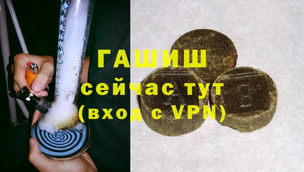 сатива Каменногорск