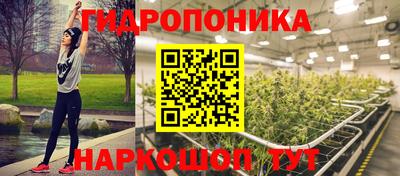 гидра Беслан