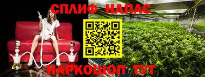 мет Гусев