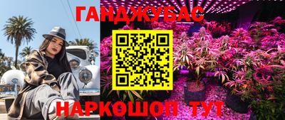 гидропоника Гусь-Хрустальный