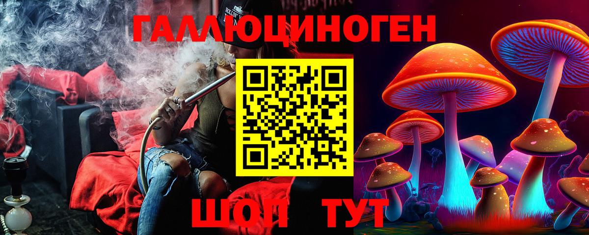 Невинномысск  Псилоцибиновые грибы Psilocybe  Вход с VPN 
