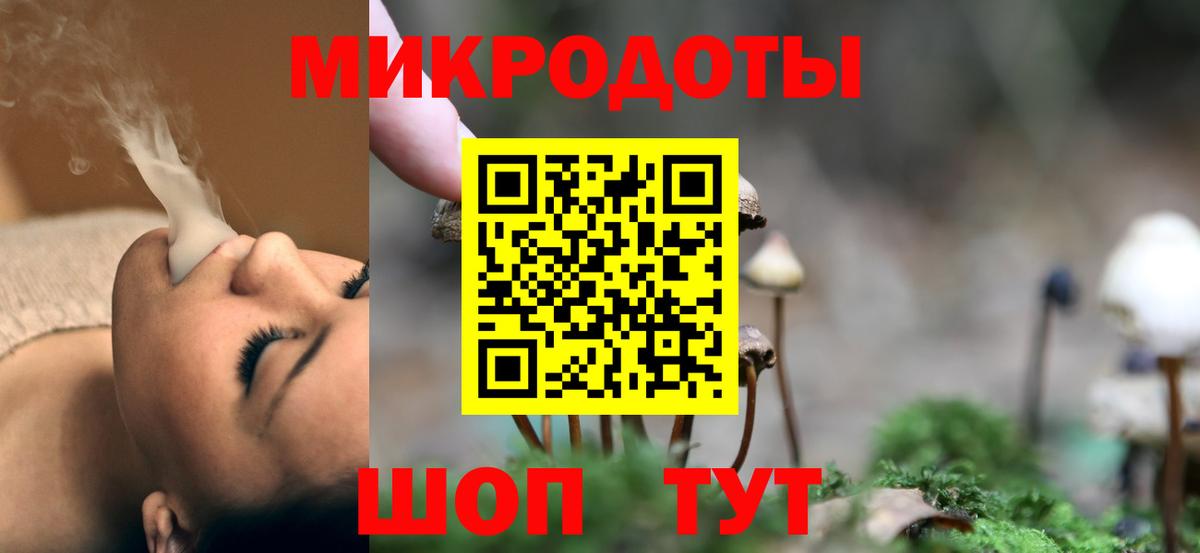 Псилоцибиновые грибы Cubensis Невинномысск