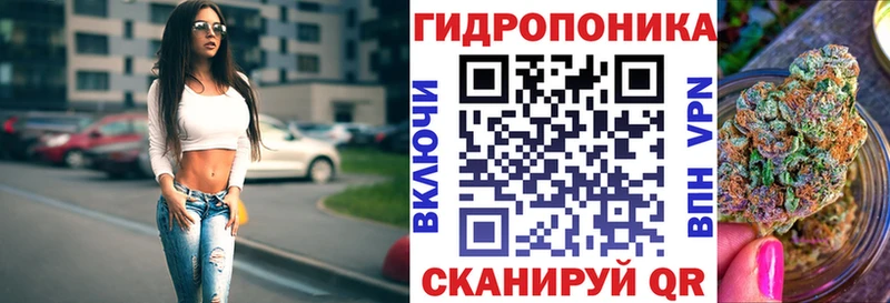 Бошки марихуана OG Kush  дарнет шоп  Невинномысск 